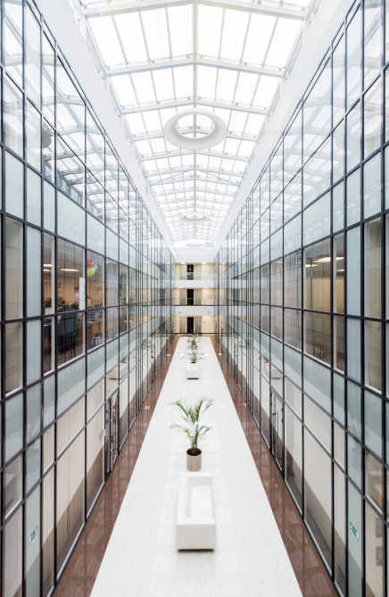 mikhail-derecha-q-XTB-YTsho-unsplash 1